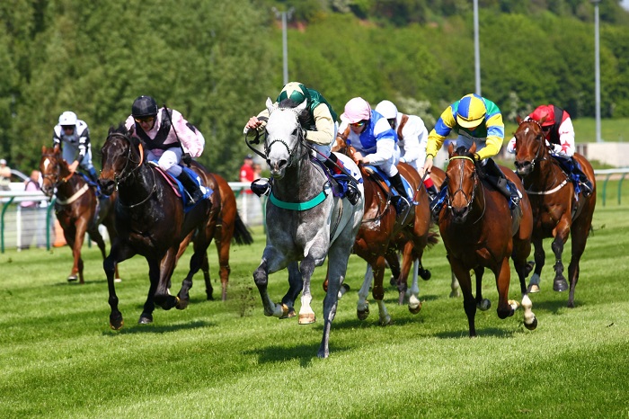 A horse racing competition
